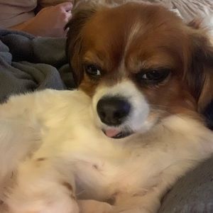 Meet your Posher, Brett